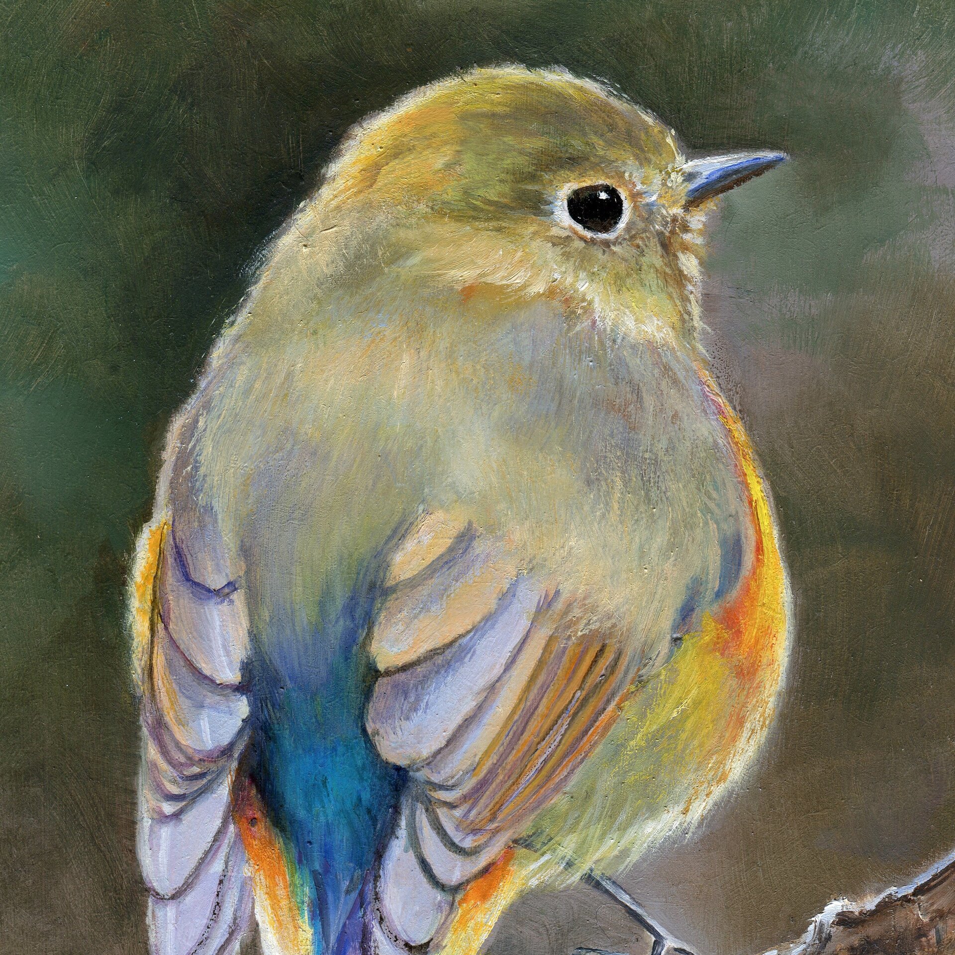 Pintura detallada y realista de pájaro amarillo sobre rama. Ave de cola azul - 11