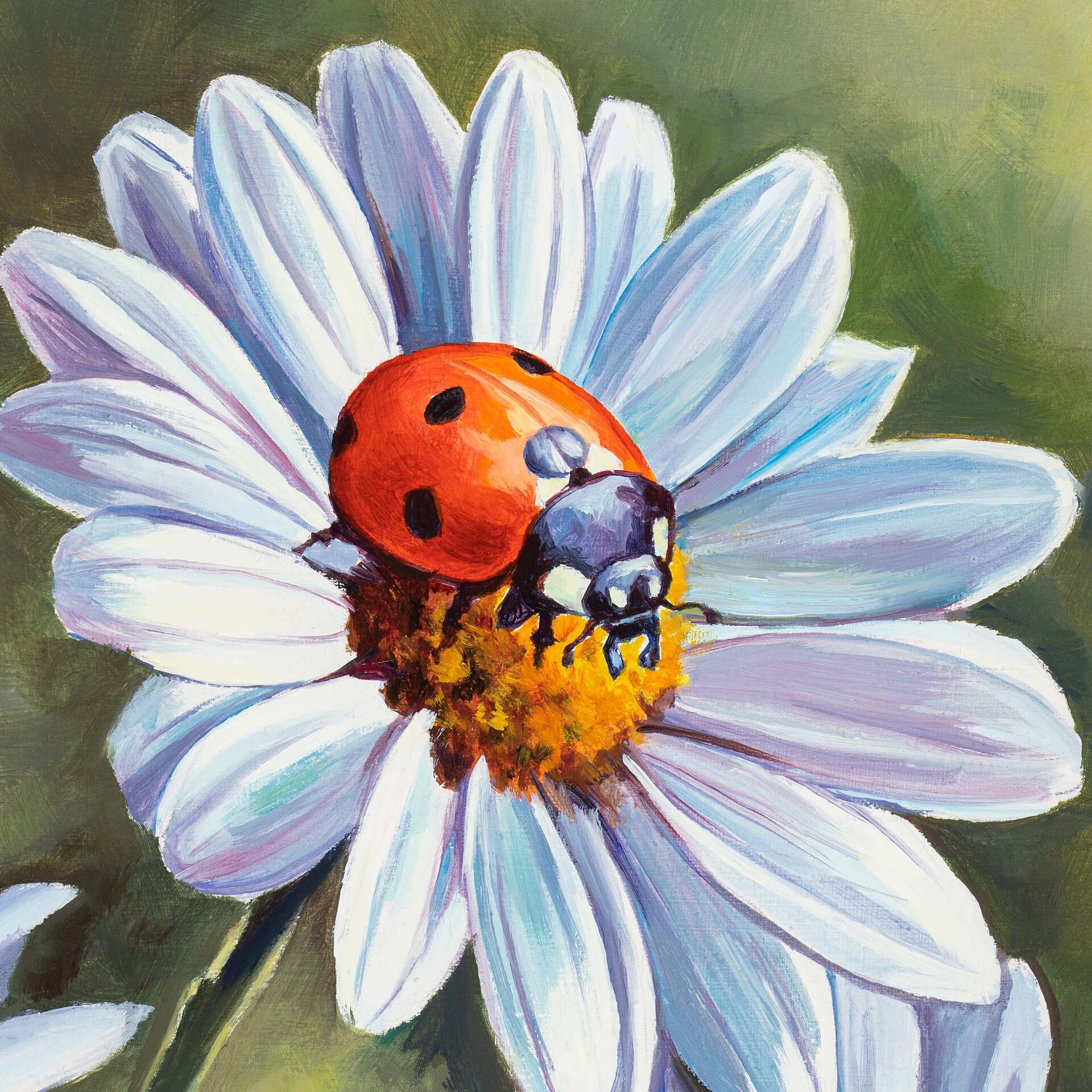 Pintura al óleo de una mariquita roja sobre flores de margarita blancas - 8