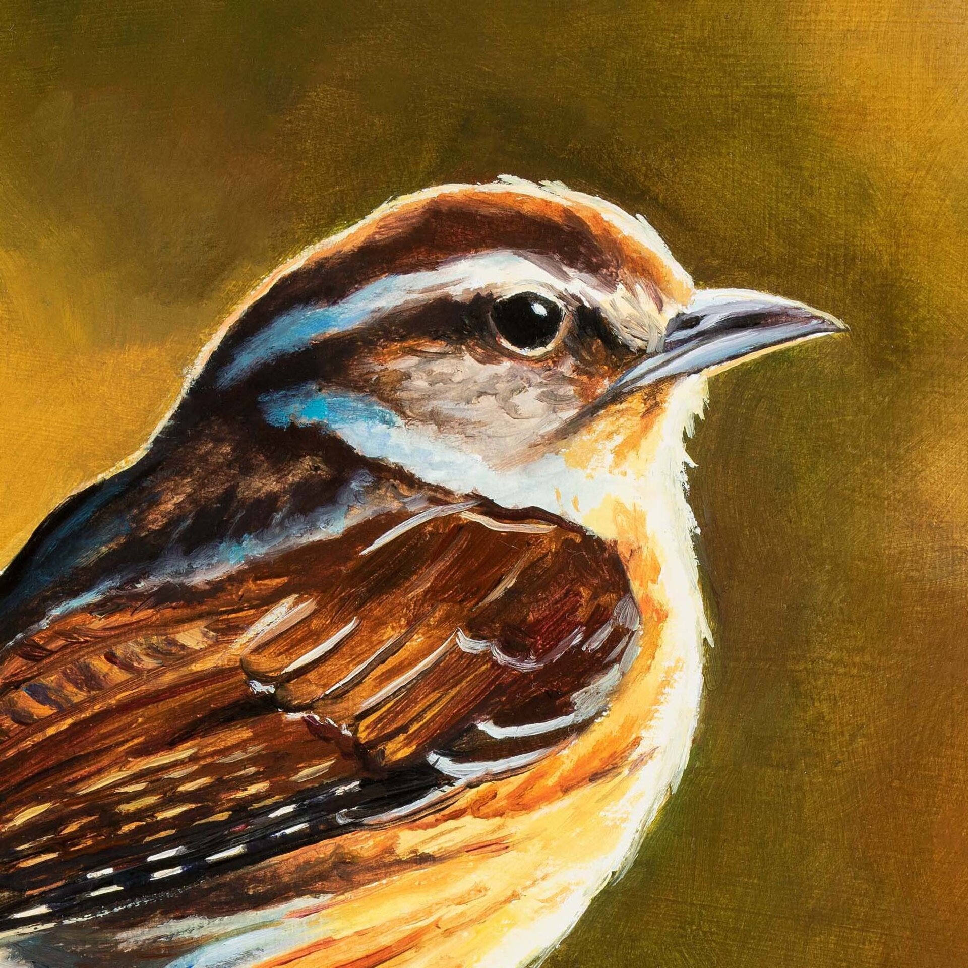 Pintura al óleo de un pájaro marrón sobre una rama, Cuadro animales silvestres - 7