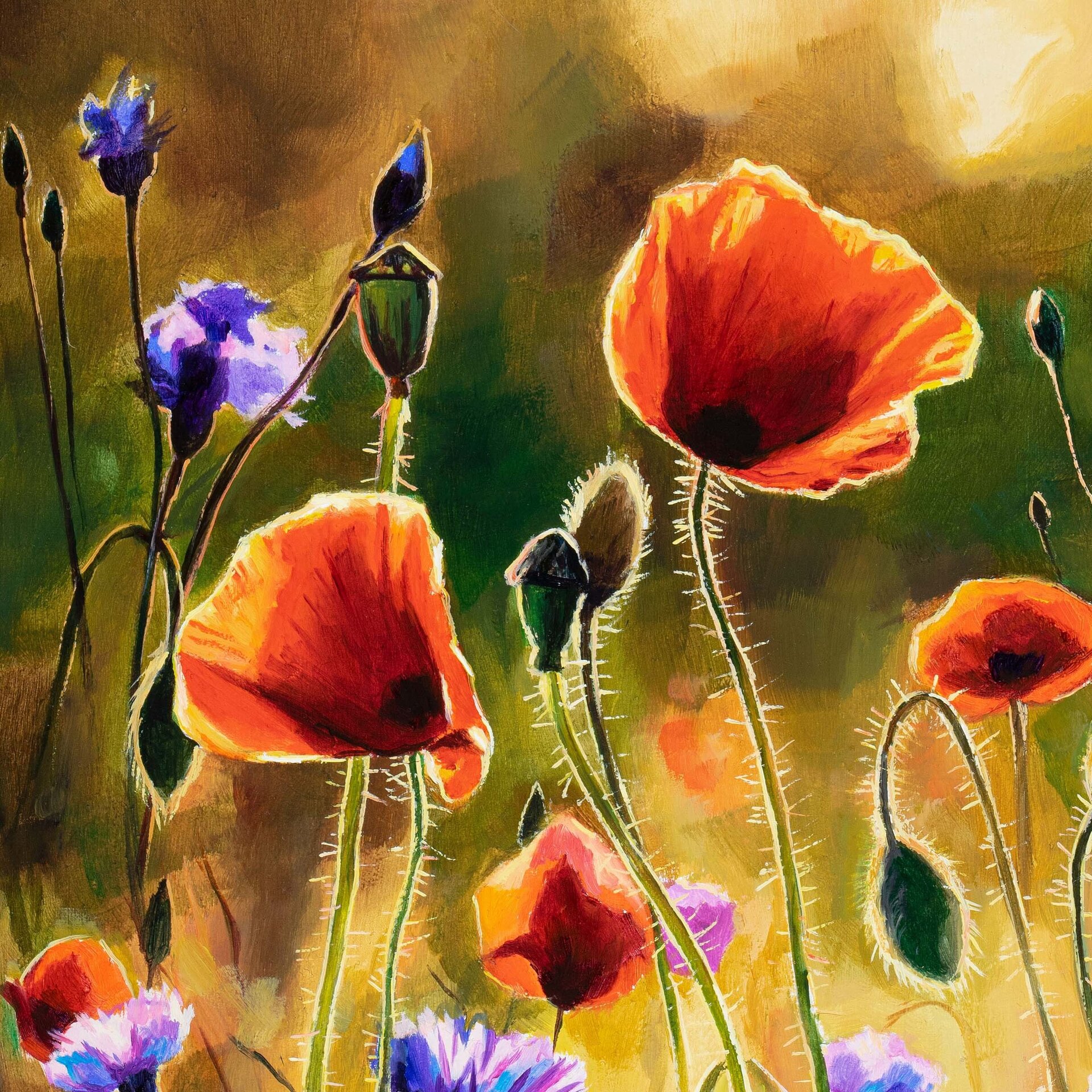 Cuadro colorido de amapolas y acianos en un campo de primavera al atardecer - 6