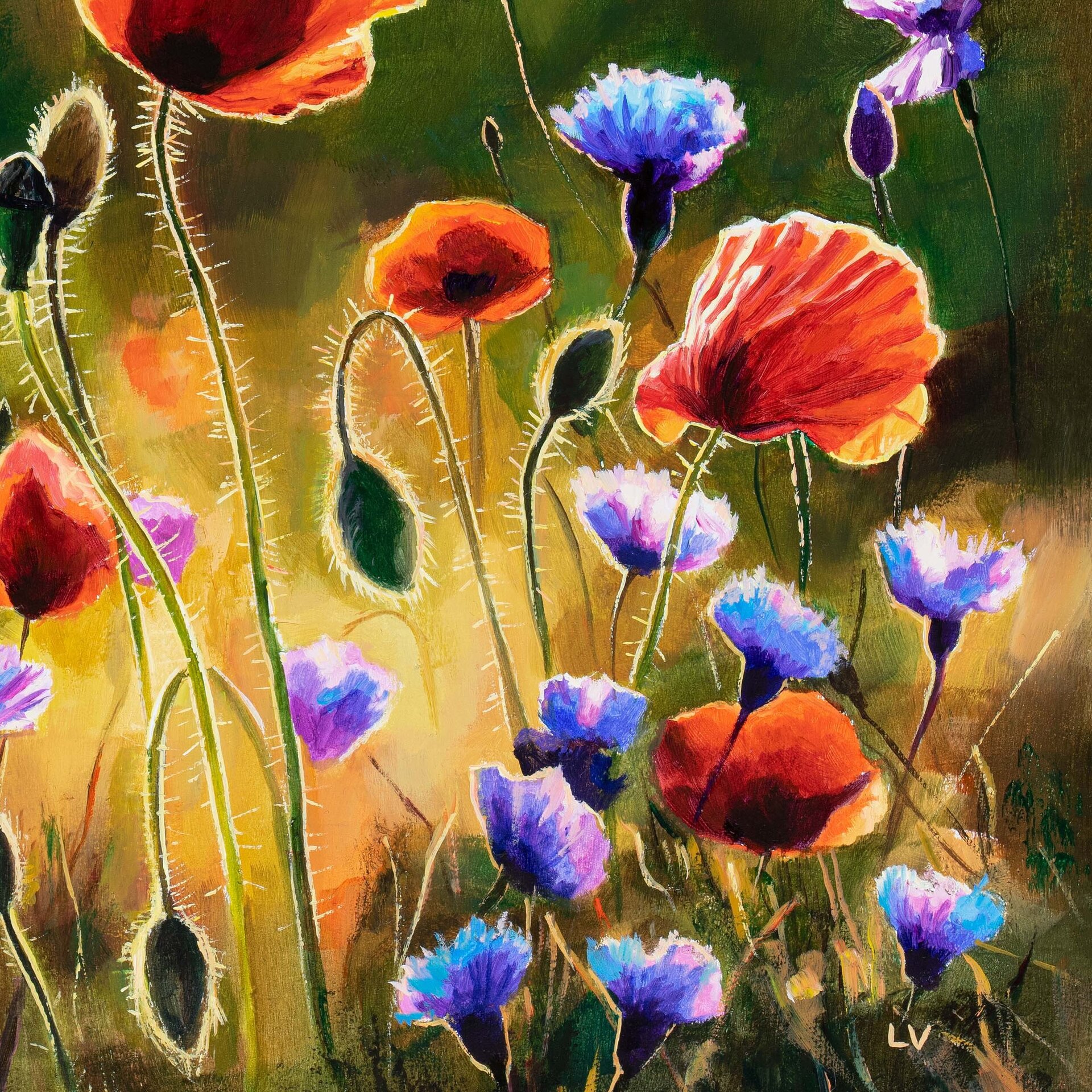 Cuadro colorido de amapolas y acianos en un campo de primavera al atardecer - 14