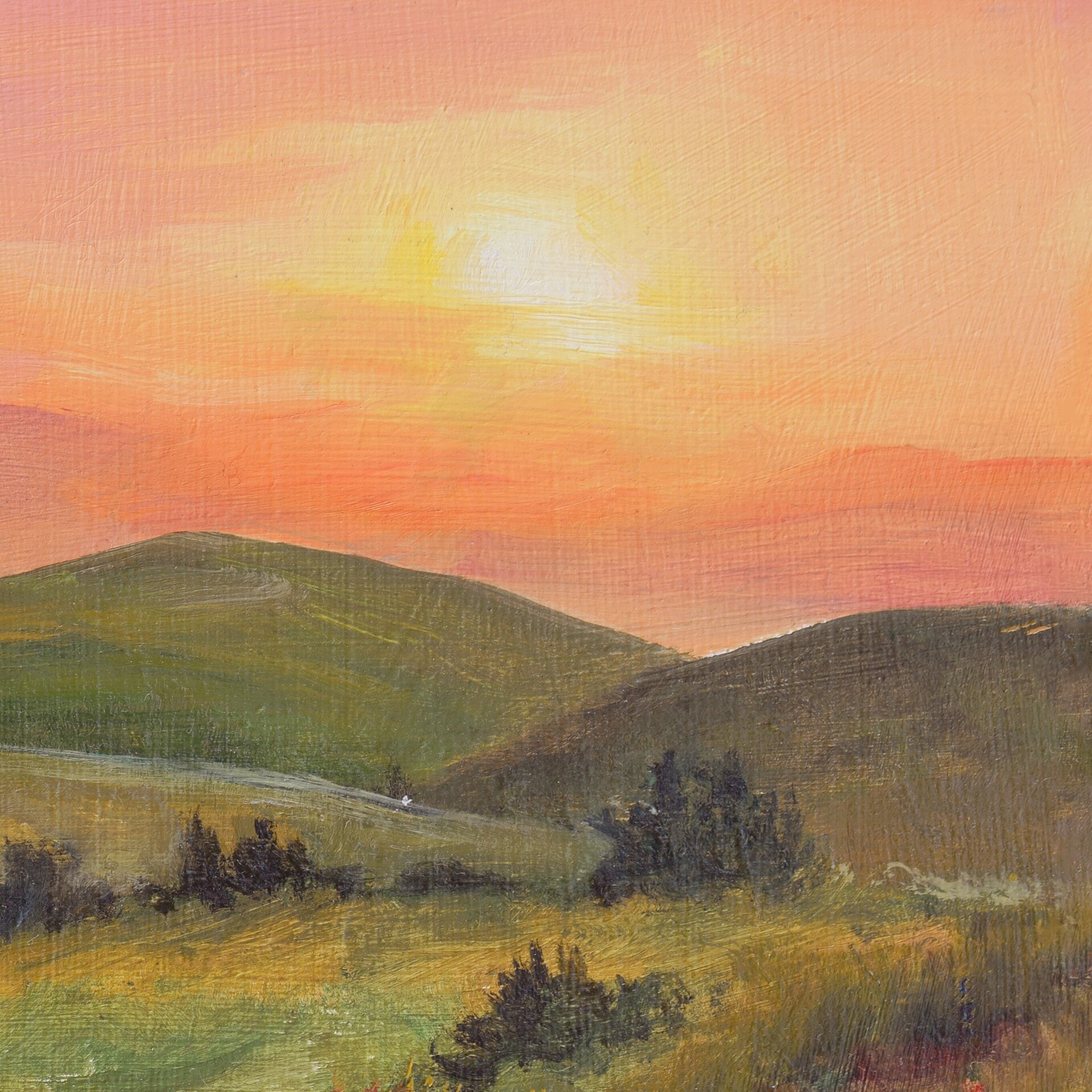 Cuadro de lomas en tonos suaves con flores y arbustos. Horizonte con luz cálida - 9