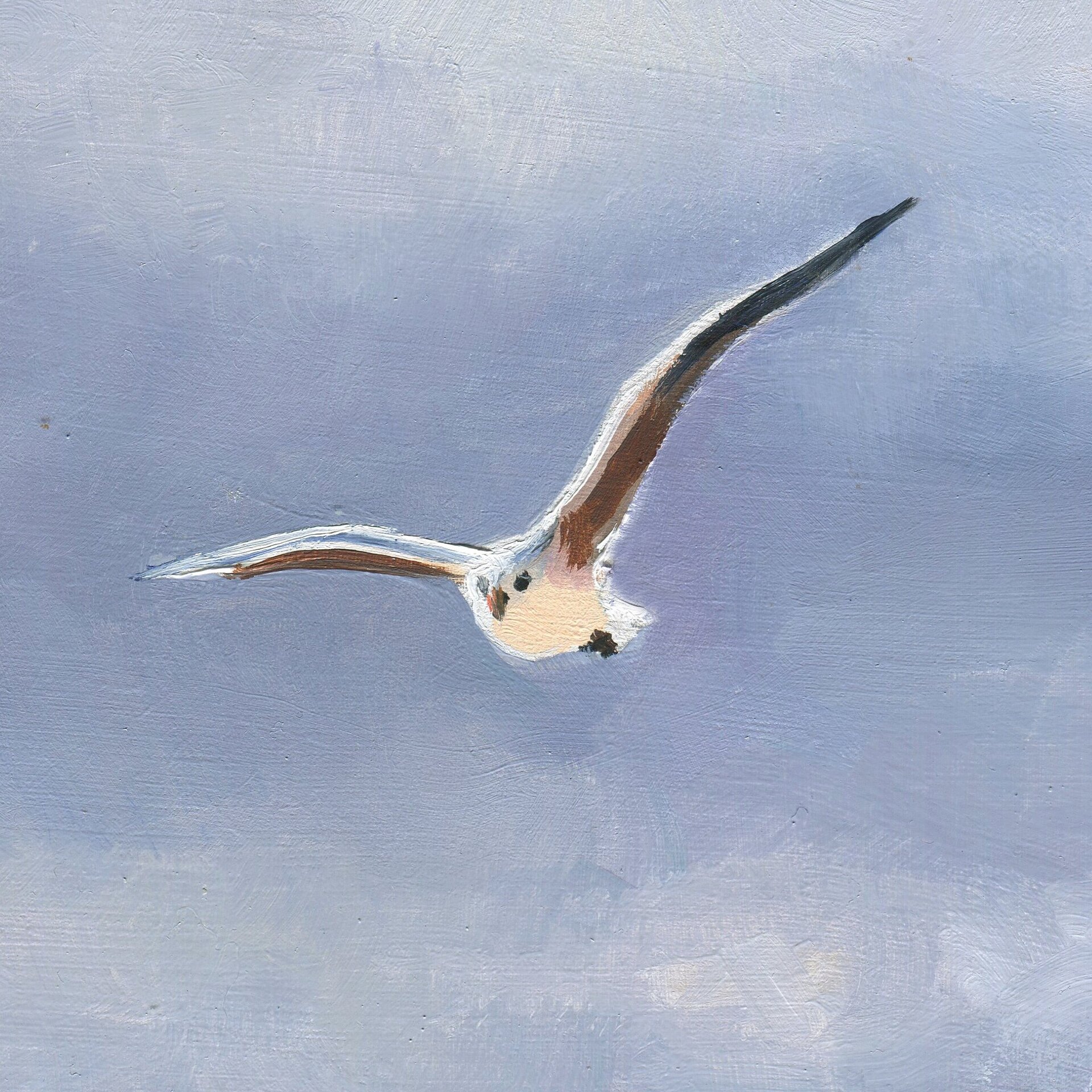 Pintura de niña en la playa con gaviota volando sobre el mar, Sentimiento de paz - 9