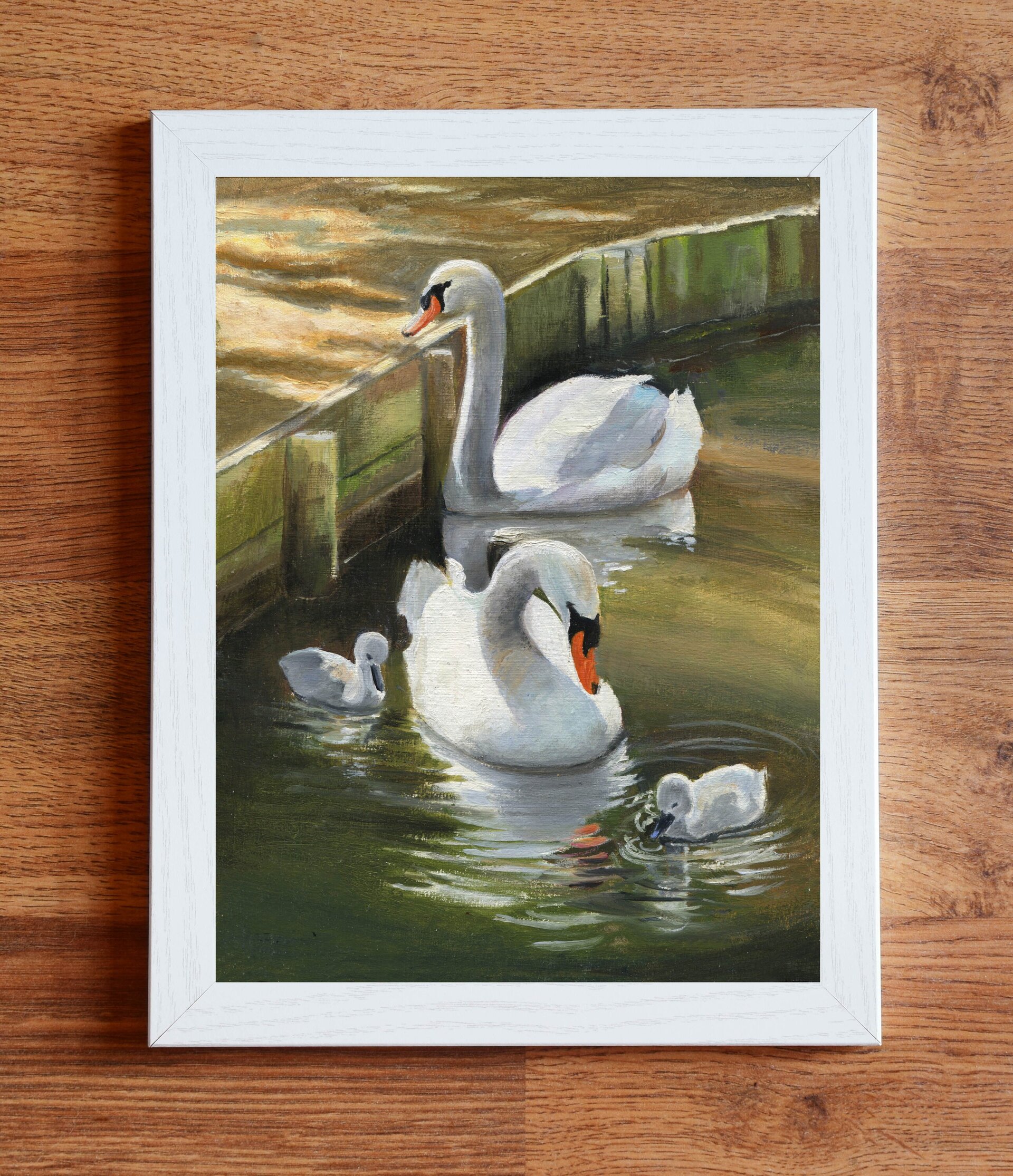 Cuadro familia de cisnes en estanque tranquilo, Paz, naturaleza y vida salvaje - 4